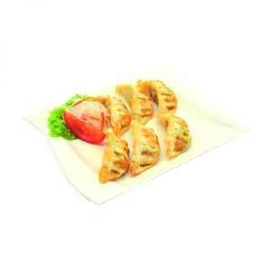 Tori Gyoza