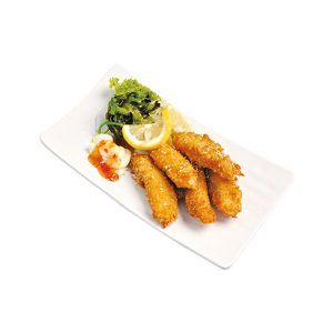 Tori Nuggets