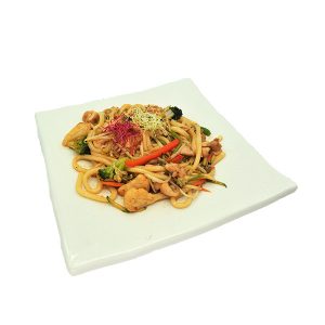 Tori Udon